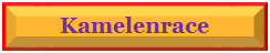Kamelenrace_SquirrelMusic